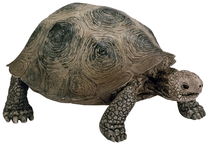 Realistic Green Turtle Figurine, 2.2" X 3.4" X 1.6", Ages 3 & Up