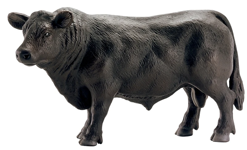 Angus Bull Toy Animal Figure for Ages Three and Up
