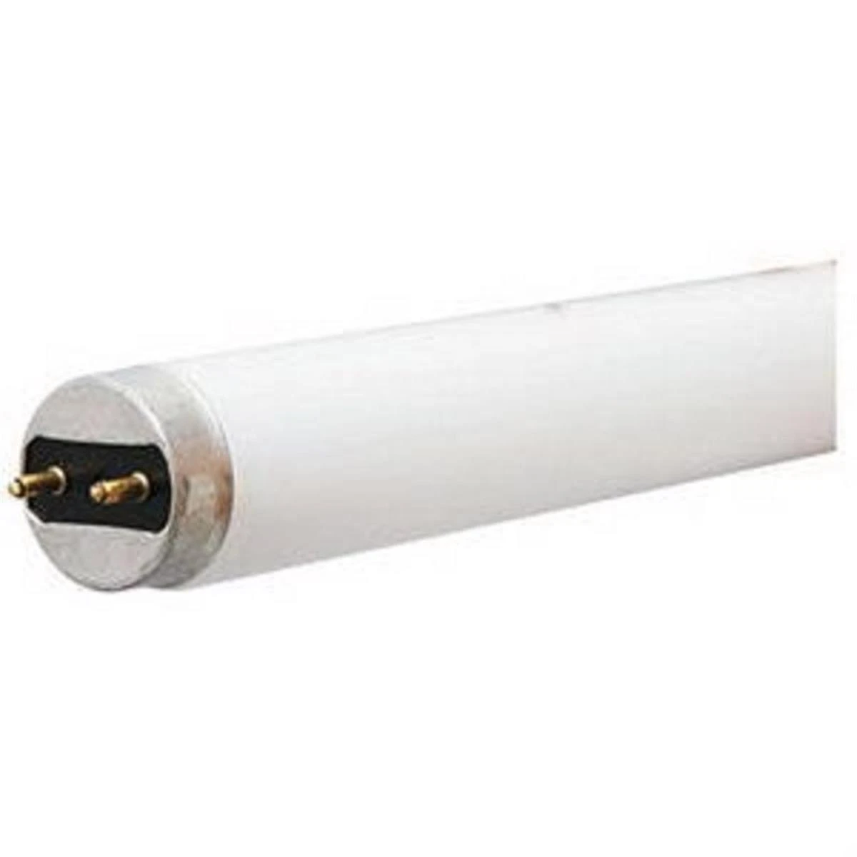T8 Linear Fluorescent Bulb, Cool White, 32w, 4-ft, 3000 Lumens, 12 Pk