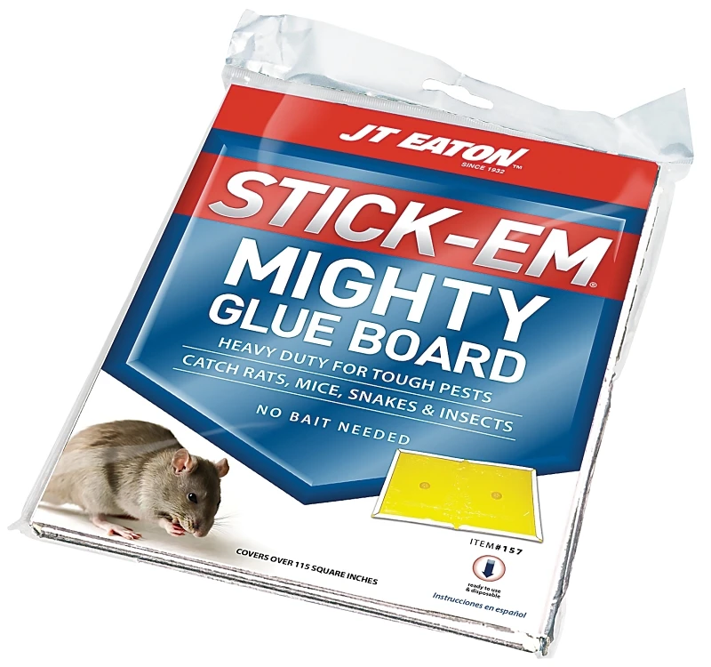 GLUE BOARD FOR RATS / MICE