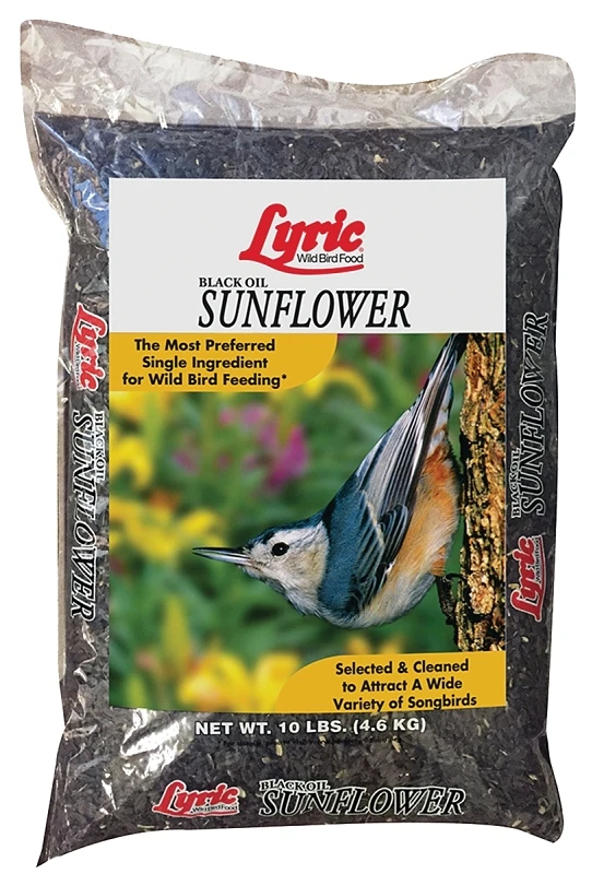 Premium Black Oil Sunflower Seed Bird Food, 10 Lbs. For Wild Birds