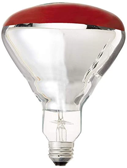 260676 250 watt R40 Red Heat Lamp&#44; Pack of 2