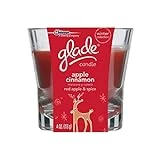 Apple Cinnamon Scented Candle, 4 Ounce Jar For Home Fragrance