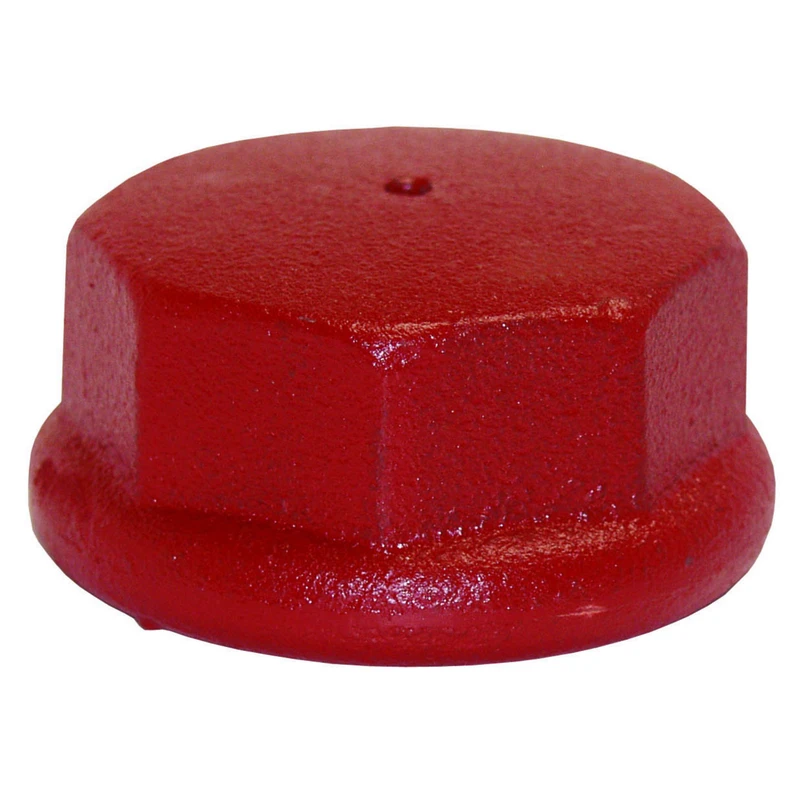 Well Point Cast Iron Drive Cap 1-1/4 In. Model Dc125
