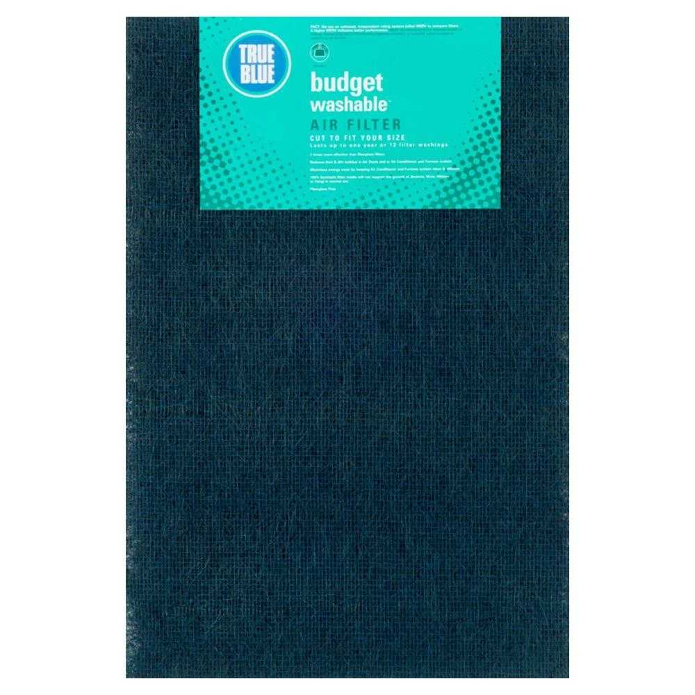 20" X 30" X 1" Budget Washable Air Filter, Merv 4 - True Blue