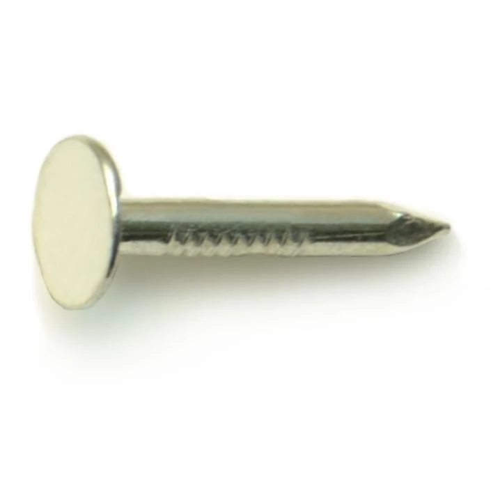 7/8" Zinc Plated Steel Roofing Flat Head Nails (360 pcs.)
