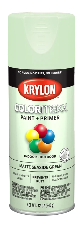 COLORmaxx Matte Seaside Green Spray Paint and Primer, 12 Ounce Can