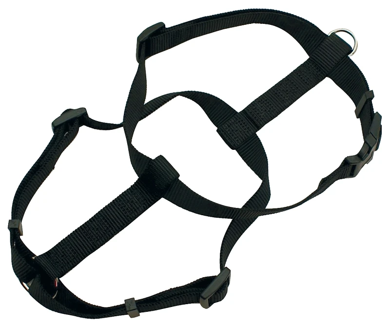 2-ply Nylon Dog Collar, Black, 1 X 28-36 Inches, Durable And Adjustable