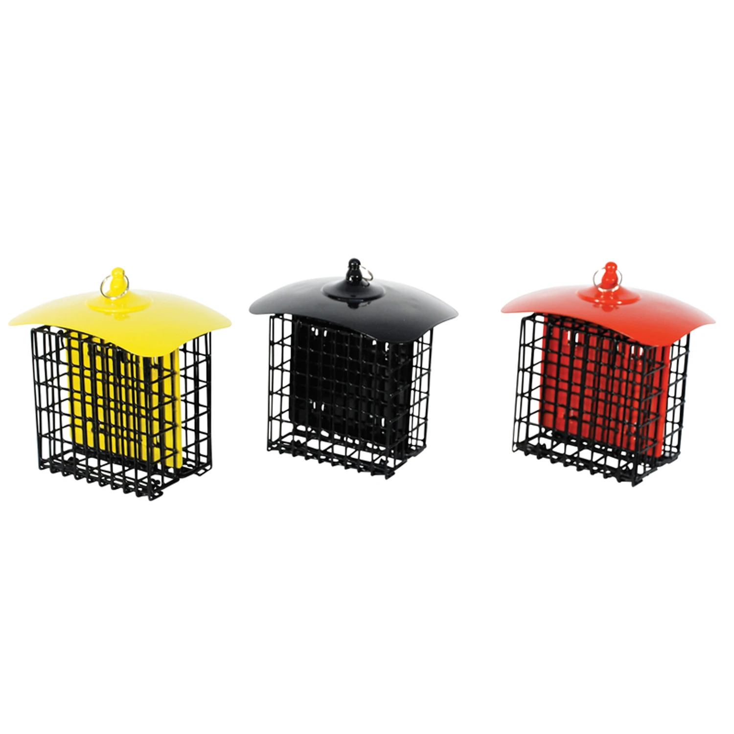 Double Suet Basket Holder Metal in Assorted Colors for Bird Feeding