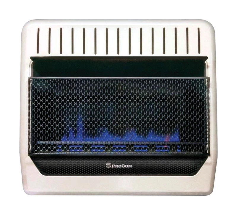 30K BTU DF BLU Heater