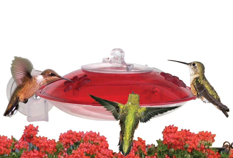 Hummingbird Feeder with Red Base and Clear Reservoir, 16 Ounce Capacity