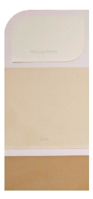 10PK WH IDEACARD WHIC39