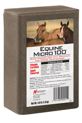 Equine Micro 100 4 Lb. Apple Flavored Horse Block
