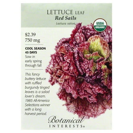 Organic Red Sails Lettuce Seeds - 0.75 Grams - Fast Growing Variety