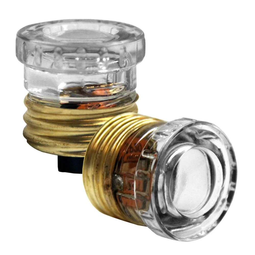 20 Amp P Rated Glass Plug Fuse - 125 Volt