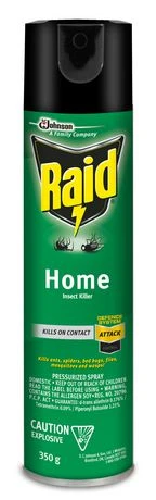 Raid Home Insect Killer 350g Indoor/outdoor Insecticide Spray