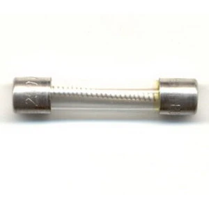 6A MDL GLASS FUSE
