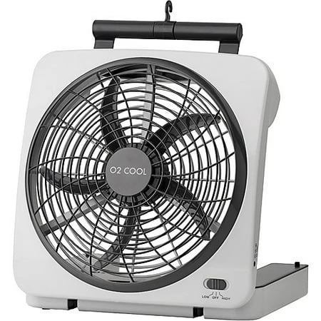 Dual Speed 10 Inch Portable Indoor/outdoor Fan Model 1054