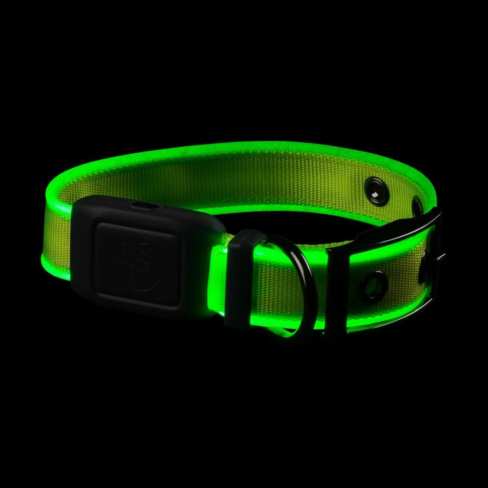 NiteDog Rechargeable Lighted Dog Collar with Green LEDs for Small Dogs