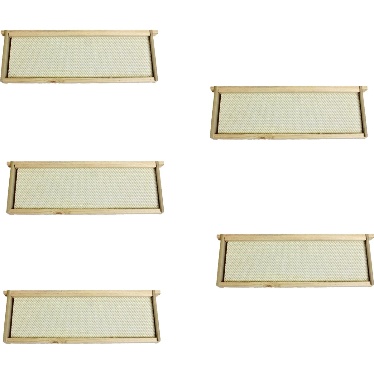 Super Beehive Frame With Foundation, Medium or Honey, Wooden, 5-Pk.