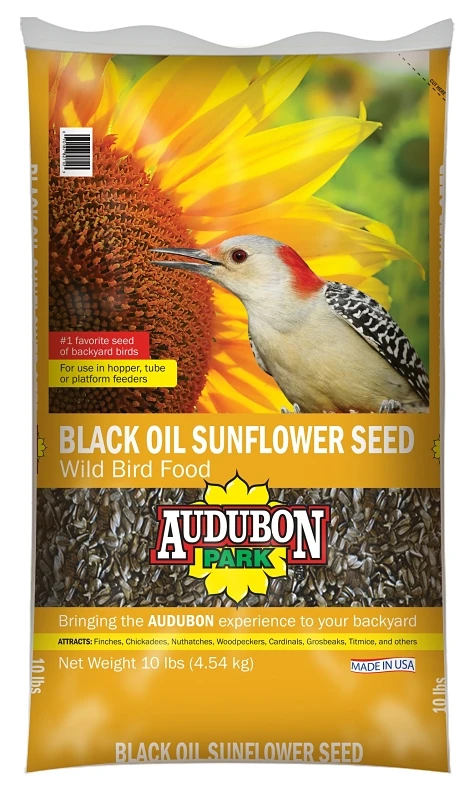 Black Oil Sunflower Seed, 10 Lb Bag For Wild Birds