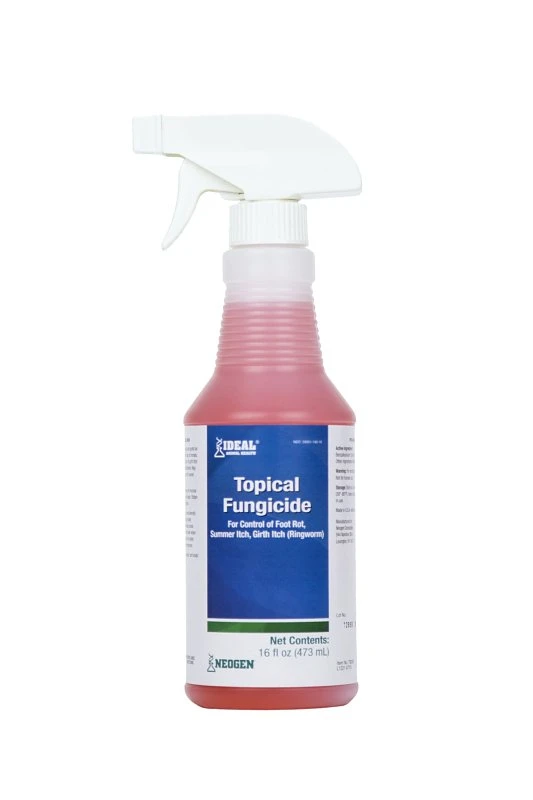 Foot Rot Topical Fungicide Treatment, 16 Ounce Bottle