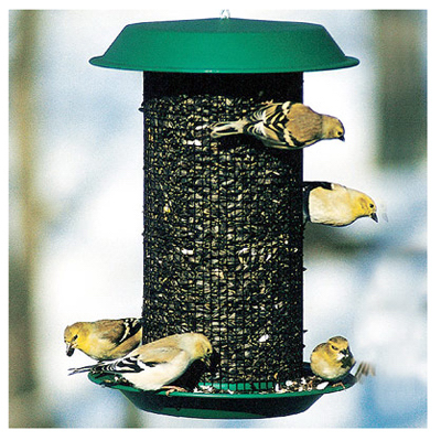 Oil Sunflower Magnum Bird Feeder, 3 Pounds Capacity
