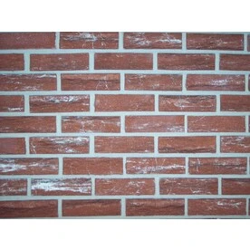 Burnt Sienna Brick Facing, 20 Pieces, Decorative Wall Cladding Panels