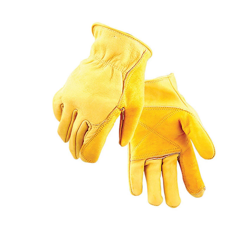 Men's Medium Cowhide Leather Driver Gloves - Model 207m
