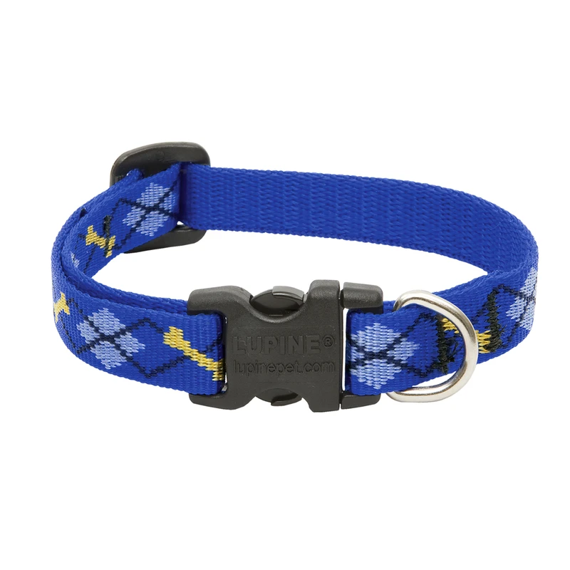 Adjustable Dog Collar by Dapper Dog, 0.5 Inch Width, Fits 10 to 16 Inch Neck