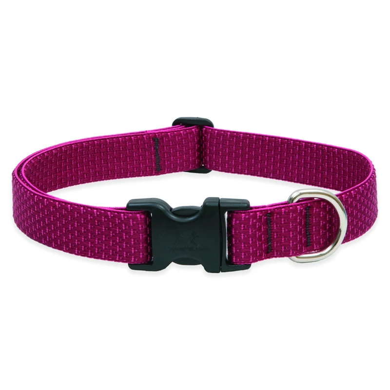 Eco Adjustable Dog Collar, Berry Pattern, 1 X 16 To 28-inches