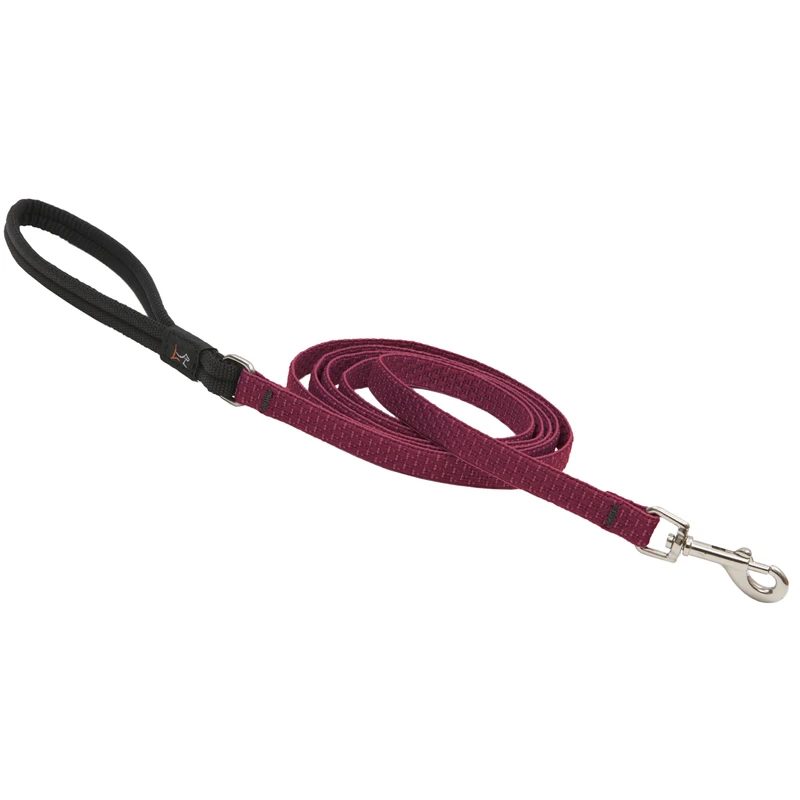 Eco Dog Leash, Berry Pattern, 1/2-inch X 6-feet, Recycled Material