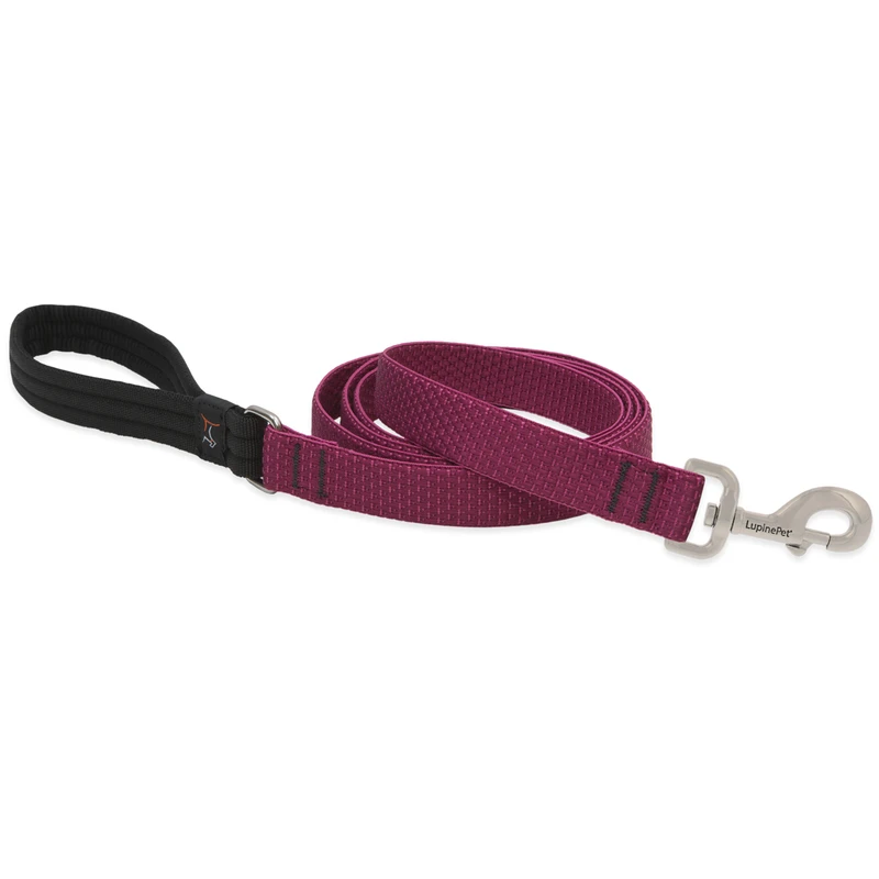 Eco Dog Leash, 1-inch X 6-feet, Recycled Plastic, Soft Padded Handle