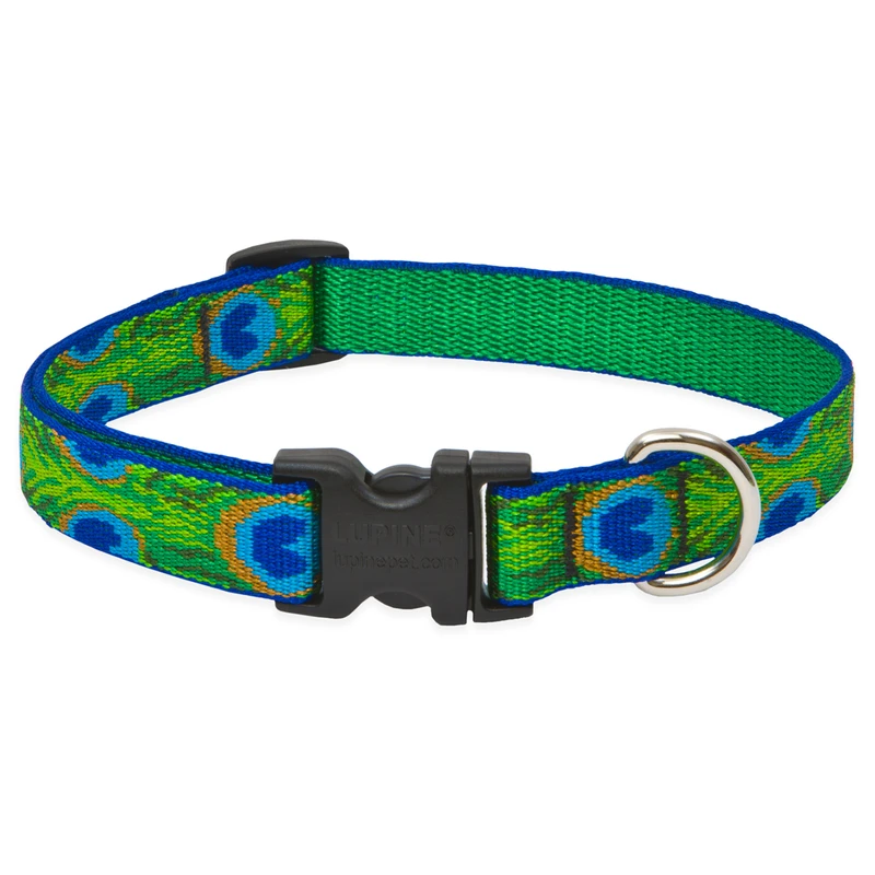 Adjustable Dog Collar, Tail Feather Pattern, 3/4 X 9 To 14-inches