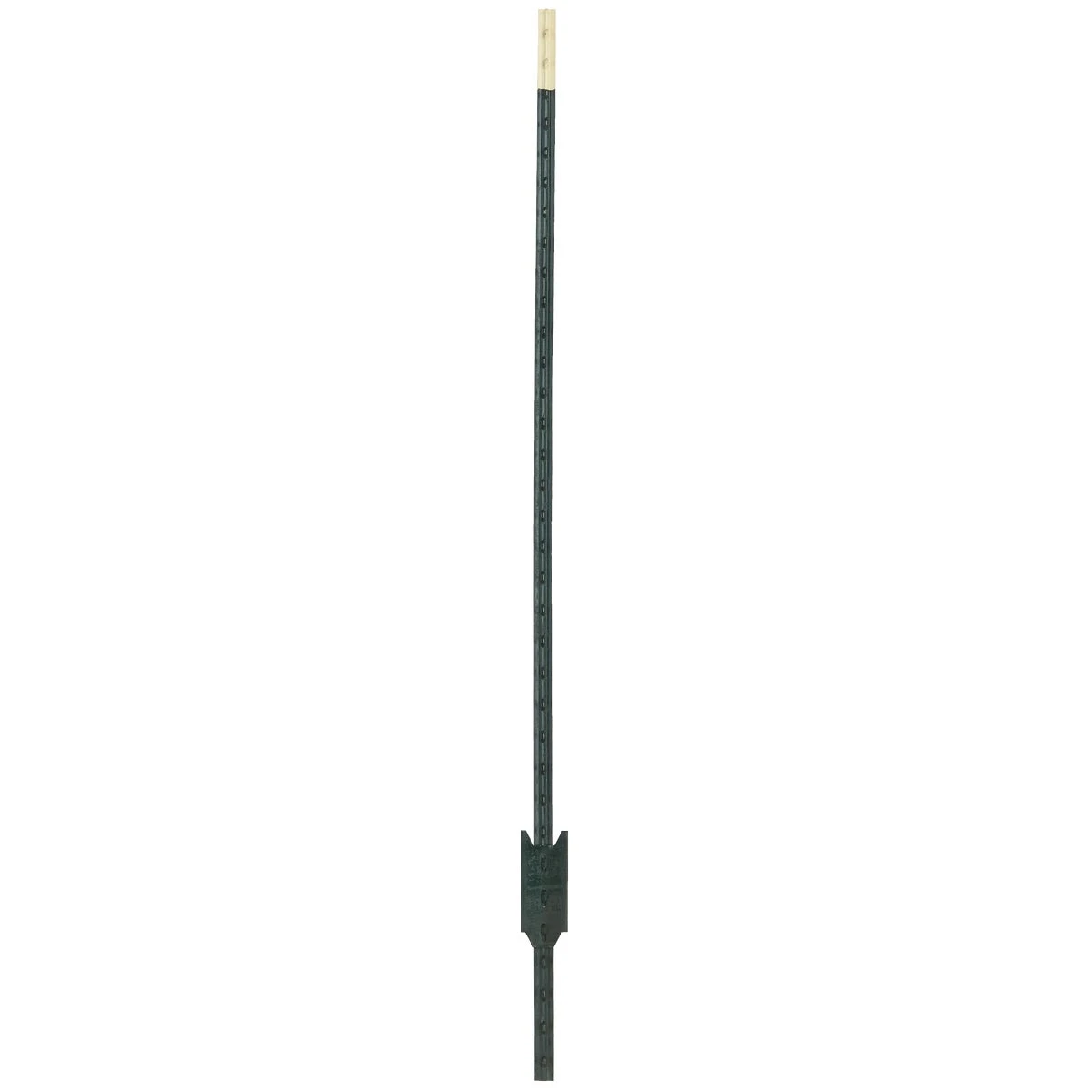 6-1/2-ft. Green Studded Steel Fence T-post For Durable Fencing Solutions