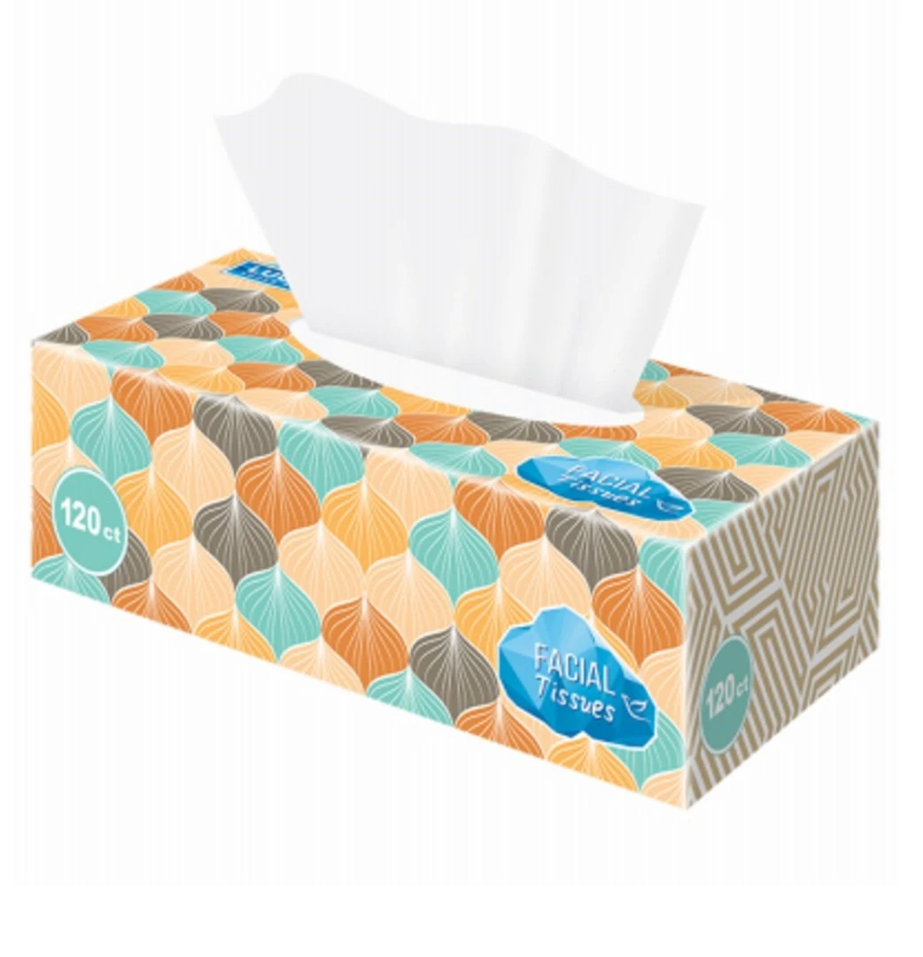 Facial Tissues, Unscented, Assorted Colors & Designs On Box, , 100-Ct.