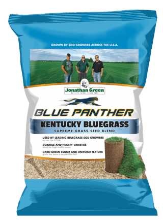 Blue Panther Kentucky Bluegrass Sod Maker Grass Seed, 3 Pounds