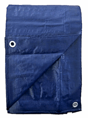 Polyethylene Tarp, Blue, 5' X 30' With Grommets