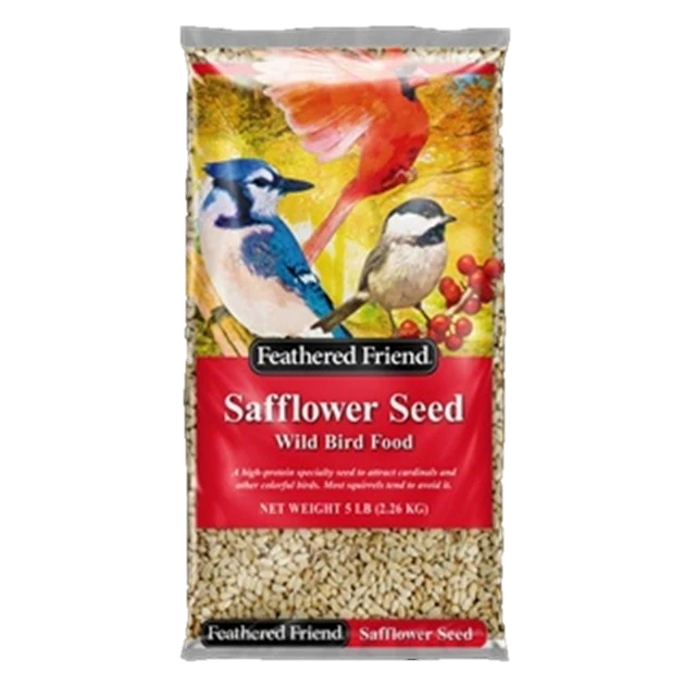Safflower Wild Bird Food, 5 Pound Bag, Premium Quality Bird Seed