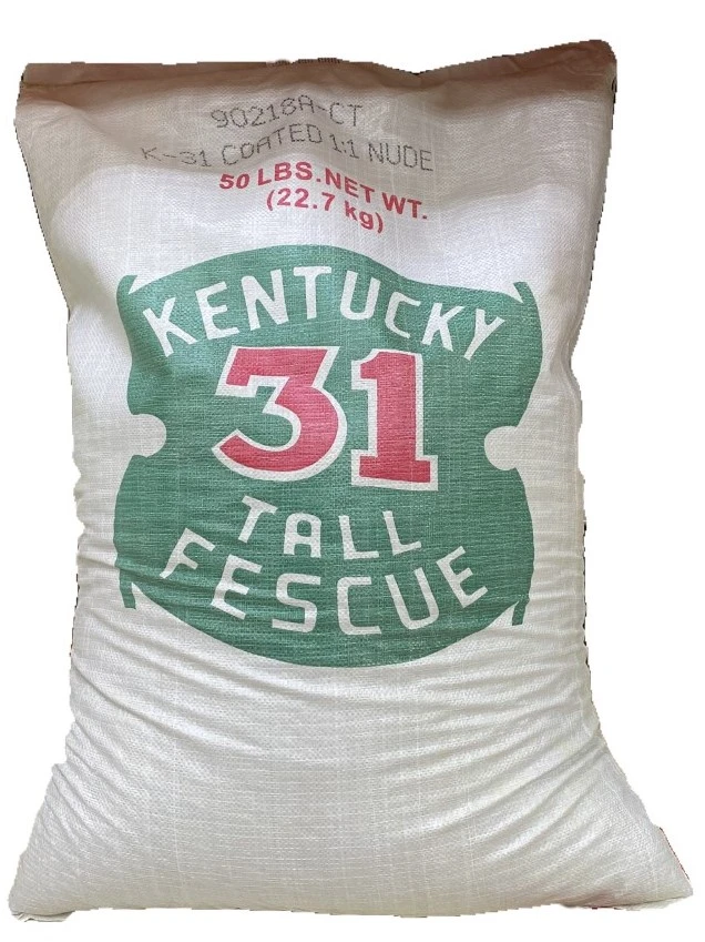 50 Lb. Coated Kentucky 31 Tall Fescue Grass Seed For 10,000 Sq. Ft. Coverage