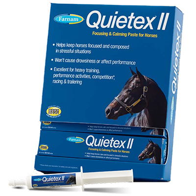 Equine Calming Paste Syringe 32.5 Milliliters for Horses