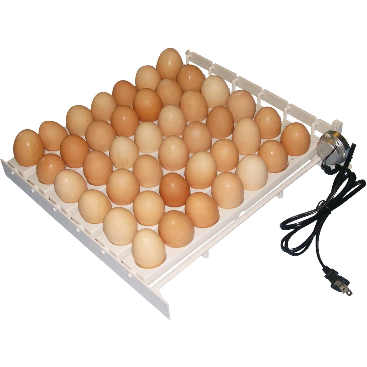 AUTOMATIC EGG TURNER