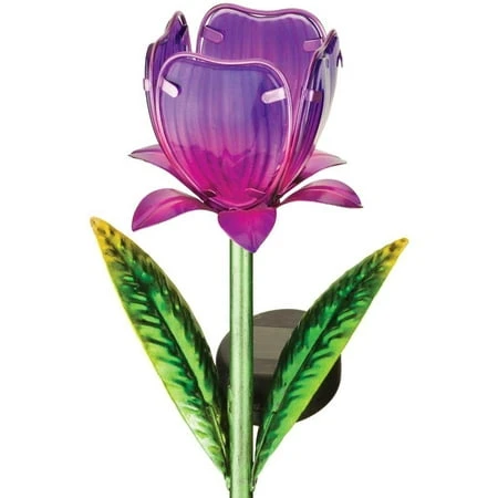 PURPLE TULIP SOLAR STAKE