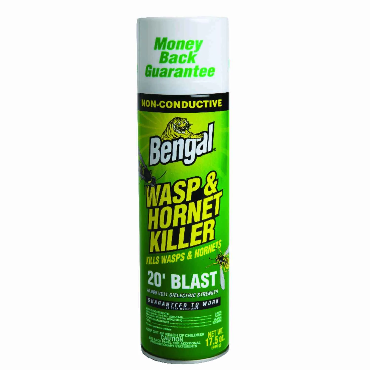 Wasp & Hornet Killer, 15 Oz. - Non-conductive Insecticide Spray