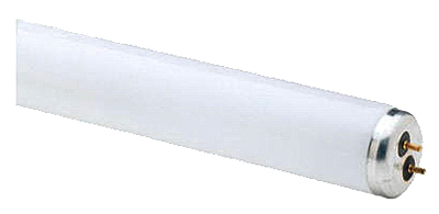 T8 Linear Fluorescent Tube, 32 Watts, 48 Inches, Model 88804