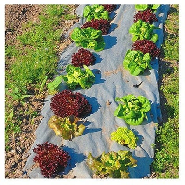 Biodegradable Paper Mulch Weed Barrier Fabric 3 Ft. X 40 Ft.
