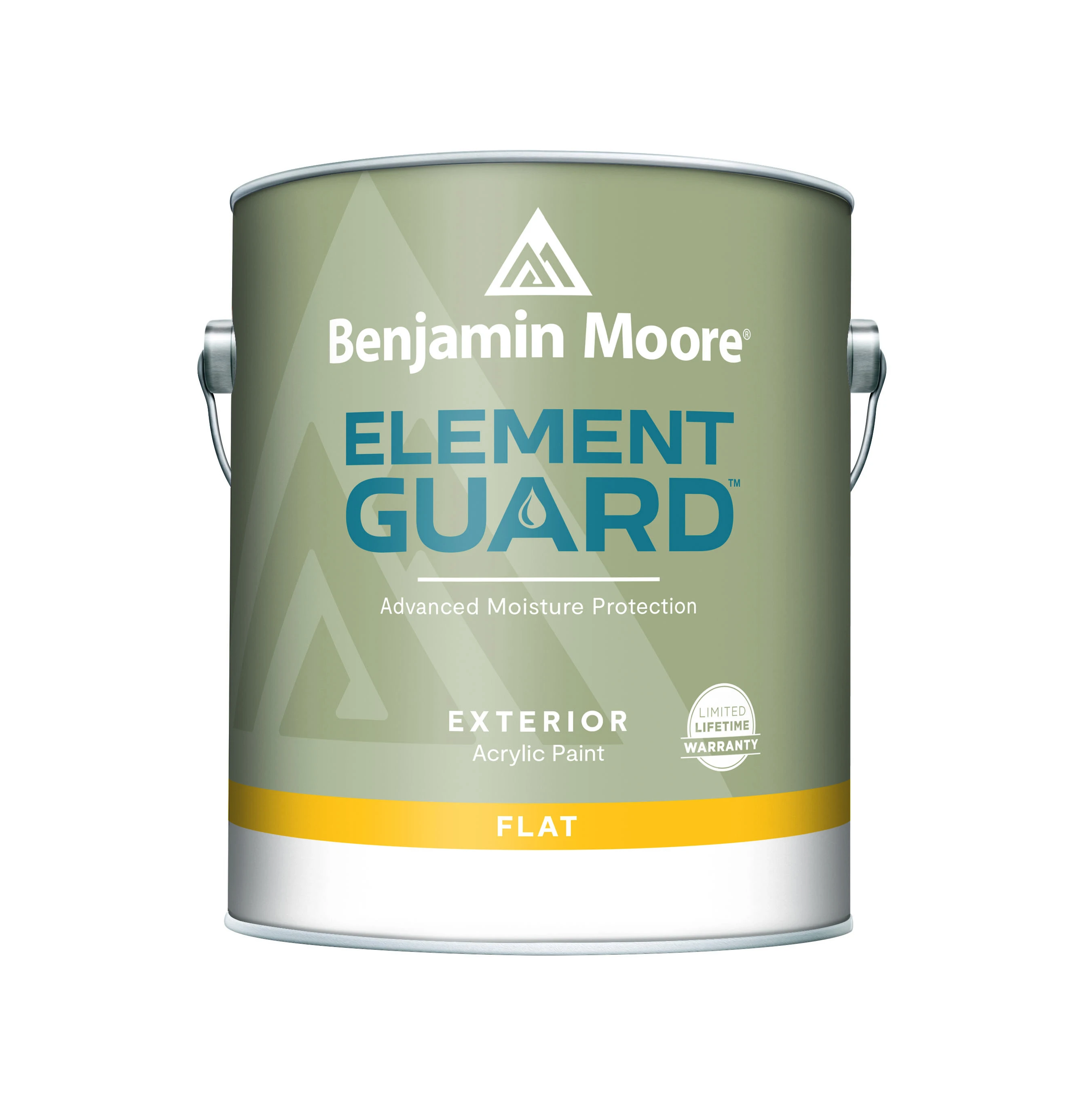 Element Guard Exterior Paint, Flat, White, 1 Gallon - Premium Moisture Resistant