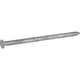 Galvanized Common Nails, 10d, 3-inch, 5-pound Box