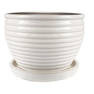 9 In. Honey Jar Planter, Ceramic, Cream White