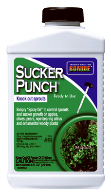 Sucker Punch Plant Growth Regulator, 8 Oz. Liquid With Brush Applicator